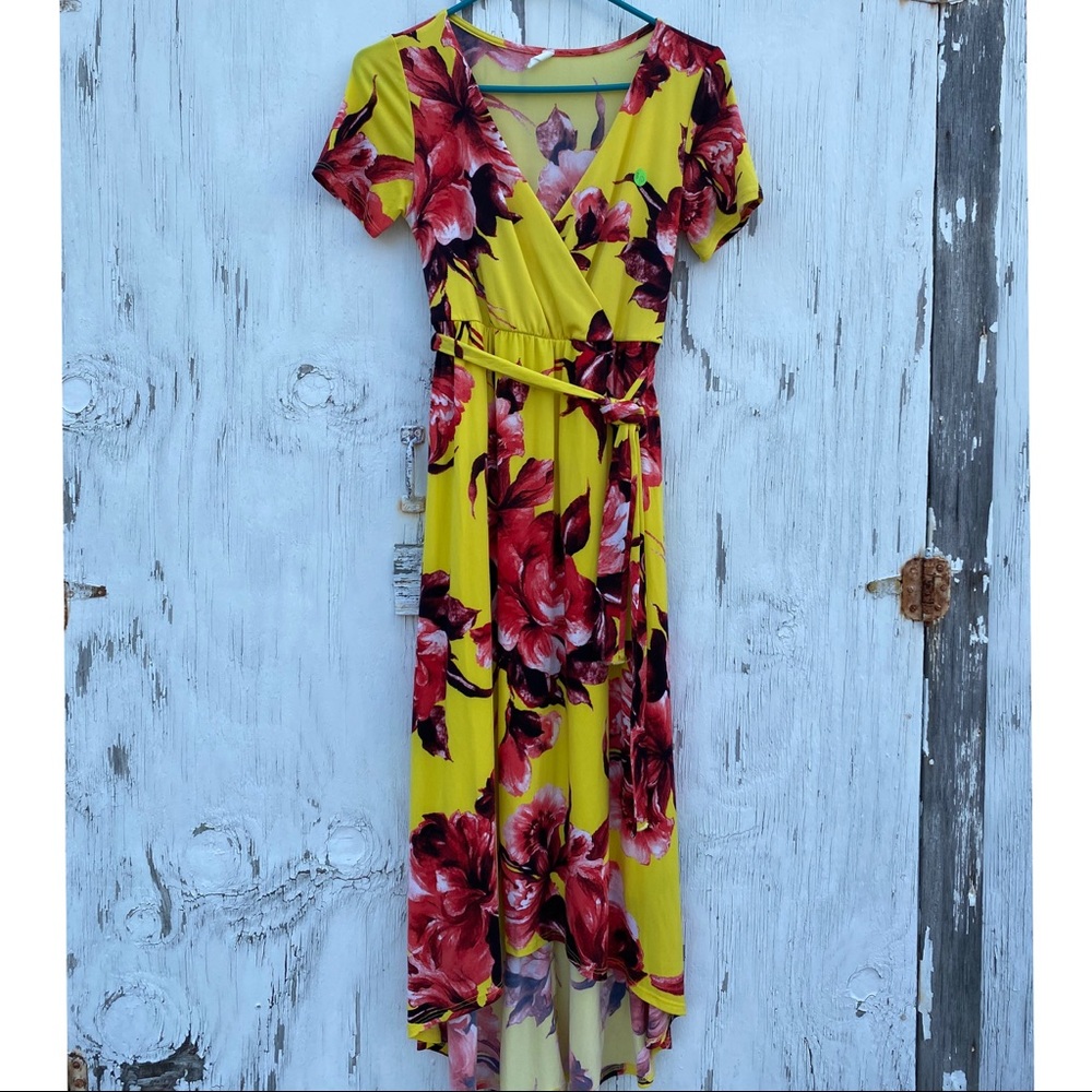 Pink Blush Maternity Dress